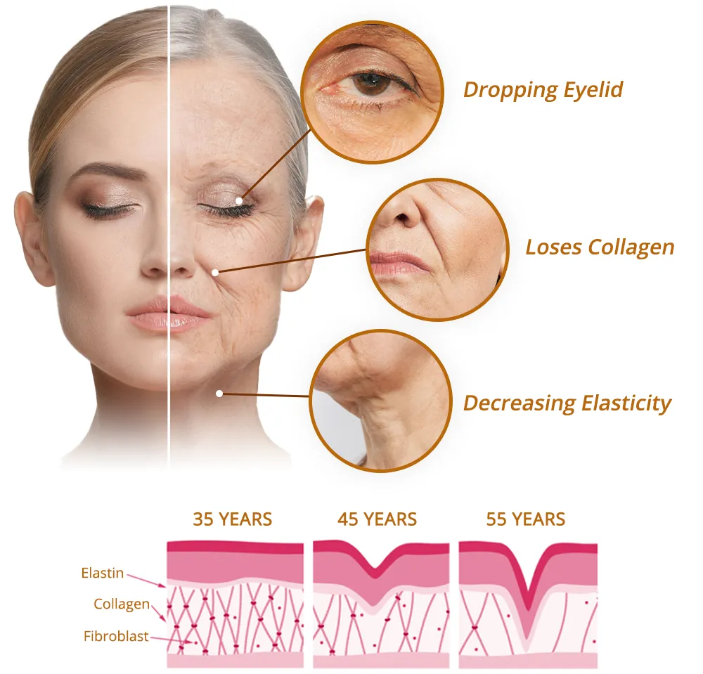 flysmus RevitaPeptid Reversal Serum
